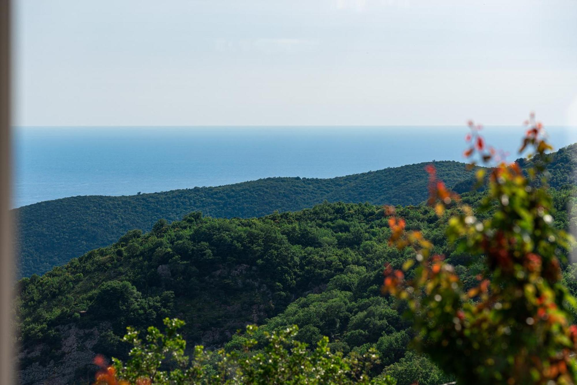Adriatic Horizonte Budva